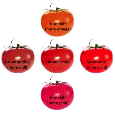 Understanding TM-30 Color Metrics Image 1
