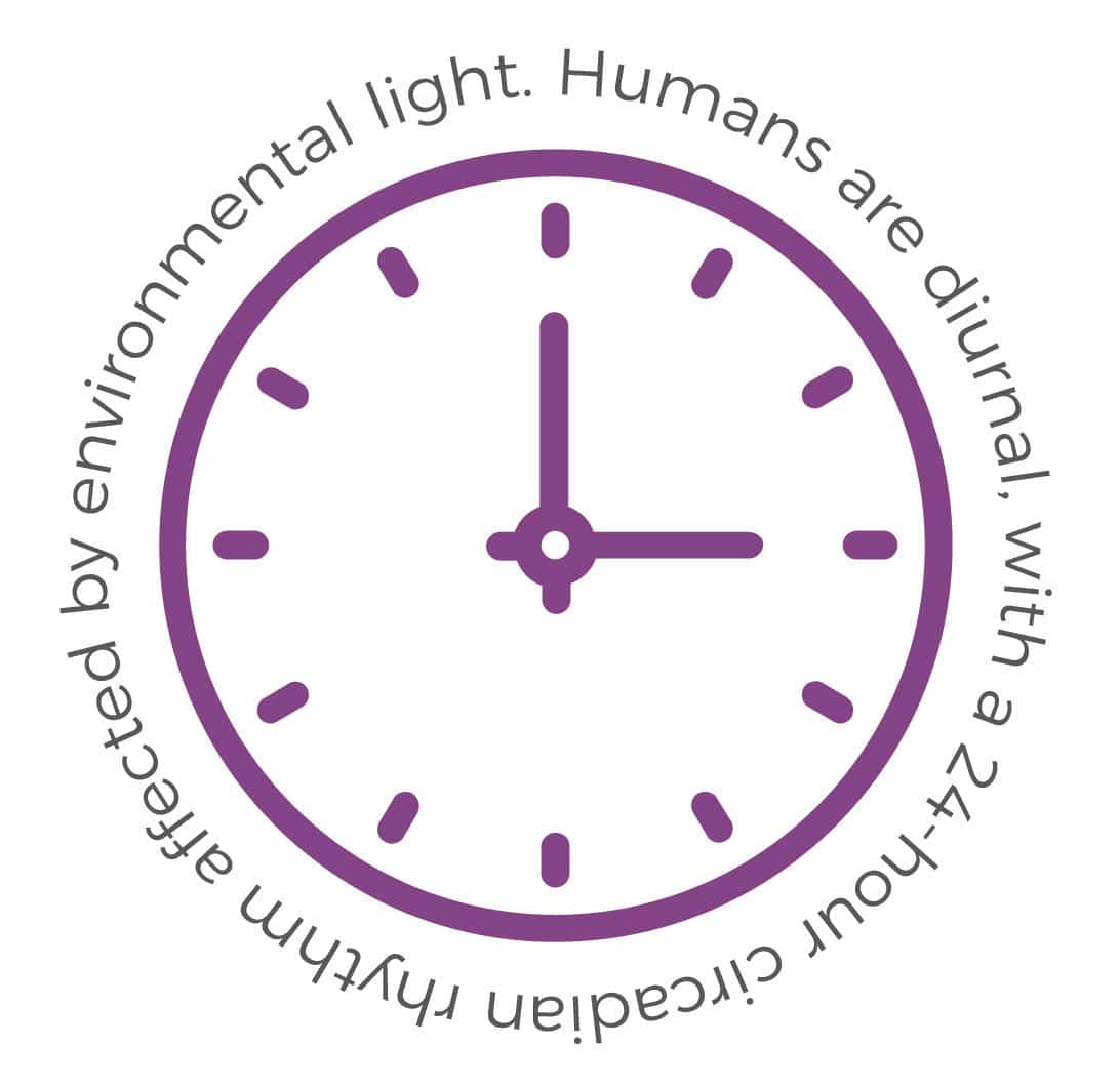 Chronobiology Image 1