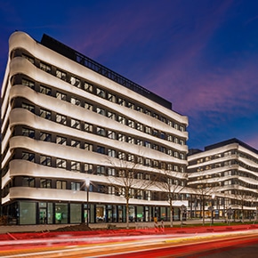 Zebrahaus
