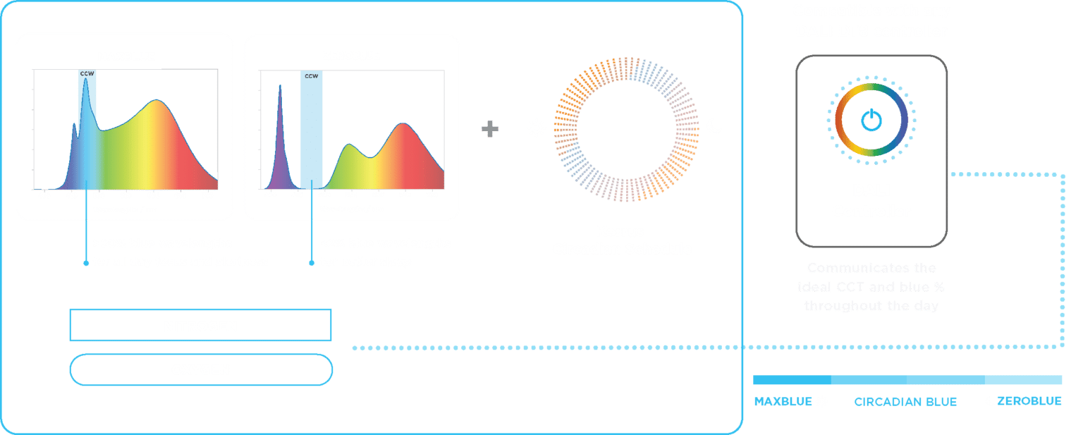 Circadian Blue Architecture