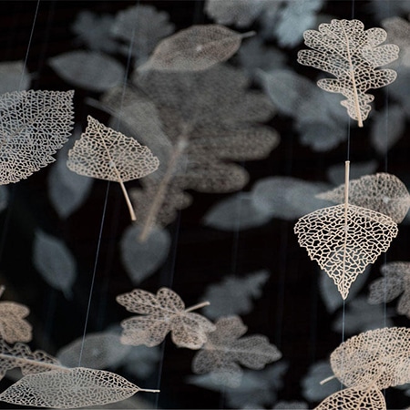 Human Nature Installation