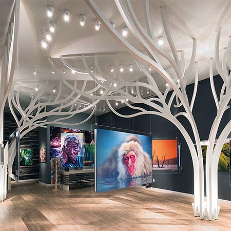 Andrei Duman Gallery