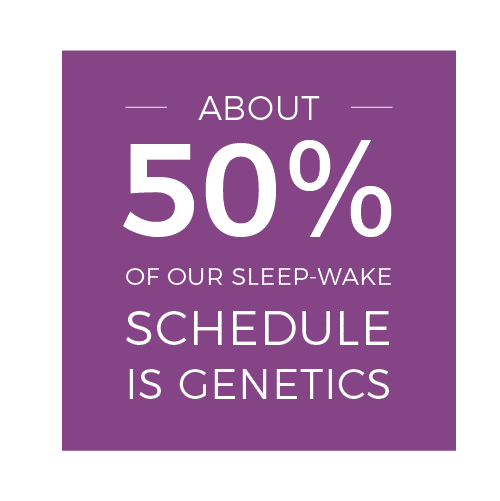 Benefits of Being a Morning Person